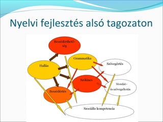 Nyelvi fejlesztés alsó tagozaton
 