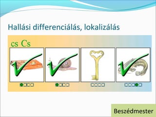 Hallási differenciálás, lokalizálás




                                 Beszédmester
 