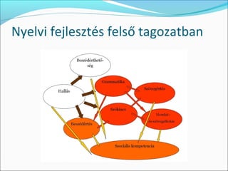 Nyelvi fejlesztés felső tagozatban
 