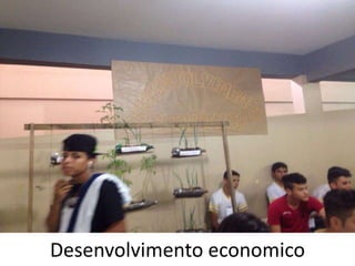 Desenvolvimento economico
 