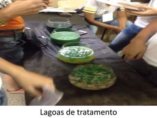 Lagoas de tratamento
 