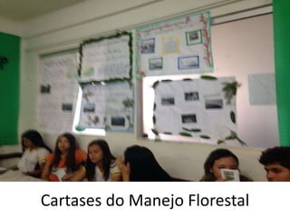 Cartases do Manejo Florestal
 