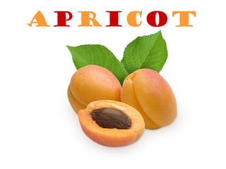 Apricot
 