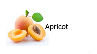 Apricot
1
 