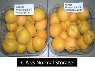 Apricot Storage Post Harvest Handling of Apricot.pptx