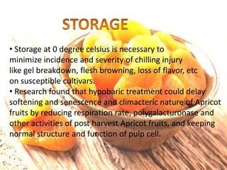 Apricot Storage Post Harvest Handling of Apricot.pptx