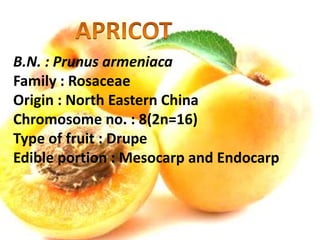 Post Harvest Handling of Apricot.pptx