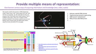 1. Helicase unwinds DNA strands
2. Topoisomerase prevents supercoiling
3. SSBP prevent reattachment
4. RNA primase adds RNA primer
5. …
The enzyme used for this process is DNA polymerase.
(“poly” means many “mer” means pieces and “ase” tells
me this is an enzyme). So, the name tells me this is an
enzyme (“ase”) that binds many (“poly”) pieces (“mer”)
of DNA to each other. There are a number of other
enzymes involved in this process as well (as you can see
below). Some enzymes open the DNA strand, others
copy the strand, and others fill in any gaps.
• http://learn.genetics.utah.edu/content/basics/t
ranscribe/
• https://www.dnalc.org/resources/3d/central-
dogma.html
• https://commons.wikimedia.org/wiki/File:DNA_
replication_en.svg
Give learners various ways of acquiring information and knowledge (text, video, audio)
Provide multiple means of representation:
 