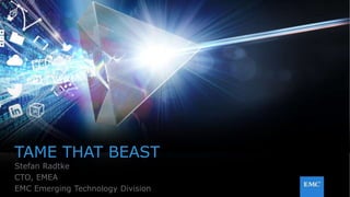 1© Copyright 2016 EMC Corporation. All rights reserved.
TAME THAT BEAST
Stefan Radtke
CTO, EMEA
EMC Emerging Technology Division
 