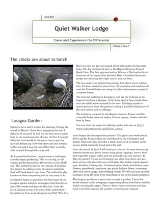 April 2011




                                             Quiet Walker Lodge
                                         Come and Experience the Difference
                                                                                               Volume 1 Issue 7




The chicks are about to hatch
                                                             Here in Iowa, we are very proud of our bald eagles. In Decorah,
                                                             Iowa. The big excitement here is the Raptor Resource Project
                                                             Eagle Cam. The first egg was laid on February 23rd and so far at
                                                             least one of the eaglets has hatched. Over a hundred thousand
                                                             people are watching the eagle cam at any one time.
                                                             The live eagle cam website has already had about seven million
                                                             hits. It’s been viewed in more than 130 countries and teachers all
                                                             over the United States are using it in their classrooms as part of
                                                             a science lesson.
                                                             The internet audience is keeping a vigil via the webcam in the
                                                             hopes of catching a glimpse of the baby eagle’s fuzzy head when-
                                                             ever the adult moves around in the nest. Catching a peek re-
                                                             quires patience since the parent is doing a good job taking care of
                                                             the new arrival and its siblings.
                                                             The hatchery is owned by the Raptor resource Project and the
                                                             nonprofit helps preserve eagles, falcons, osprey, hawks and owls
 Lasagna Garden                                              here in Iowa.
                                                             You can view the eagles by clicking on the web cam at http://
Spring is here and it is time for planting. During the
                                                             www.raptorresource.org/falcon_cams/.
month of March, I have been preparing the soil. I
did a lot of research to find out the best way to plant
                                                          layer begins the decomposition process. The grass and weeds break
here in the northeast part of Iowa. At first I thought
                                                          down quickly because they are smothered by the newspaper and
tiller the land would be the smart way to get the
                                                          mulch. This layer also provides a dark, moist area to attract earth-
clay soil broken up. However there are lots of rocks
                                                          worms which naturally break down the soil.
in the soil and I was not sure if the tiller would be
able to work through the rocky soil.                      Over the month of April I will continue to layer the area alternating
                                                          between brown and green layers using grass clippings, leaves, fruit
As I researched further, I came across a technique        and vegetable scraps, coffee and tea grounds, and cow manure. In
called lasagna gardening. This is a no dig, no till       May my garden friends are bringing over slips from their own gar-
organic gardening method the results in rich, fluffy      dens and we will plant the area with false blue indigo, hardy gerani-
soil. This method works on the concept of building        ums, daylilies, blazing star, Carolina lupine, black-eyed Susan, cone-
the garden by adding layers of organic materials          flowers, goatsbeard, snackroot, gas plant, balloon flower, stonecrop,
that will “cook down” over time. The method is also       little blue stern, ajuga, and creeping sedum. We will also put up deer
known as sheet composting and is very easy to do.         fencing to keep the deer from munching on the newly planted garden.

In March I began to put down the first layer of the       The lasagna garden is a great way to make a garden. I have few
lasagna garden which is newspaper laid directly on        weeds thanks to the newspaper suppressing them from below and the
top of the weeds and grass in the area. I wet the         mulch covering the paper. There is better water retention and less
layer and put on top of it some of the mulch that I       need to fertilize because the garden is almost pure compost.
had piled up from wood chopping last Fall. This first
 