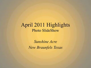 April 2011 Highlights
Photo SlideShow
Sunshine Acre
New Braunfels Texas
 