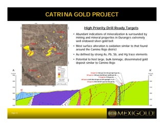 CATRINA GOLD PROJECT

                         High Priority Drill Ready Targets
                 • Abundant indications of mineralization & surrounded by
                   mining and mineral properties in Durango’s extremely
                   well endowed silver-gold belt
                 • Most surface alteration is oxidation similar to that found
                   around the Camino Rojo district
                 • Au defined by strong As, Pb, Sb, and Hg trace elements
                 • Potential to host large, bulk-tonnage, disseminated gold
                   deposit similar to Camino Rojo

 A                                                                              A’




Page 14
 