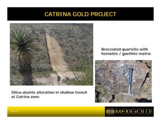 CATRINA GOLD PROJECT




                                              Brecciated quartzite with
                                              hematite / goethite matrix




Silica-alunite alteration in shallow trench
at Catrina zone


Page 15
 