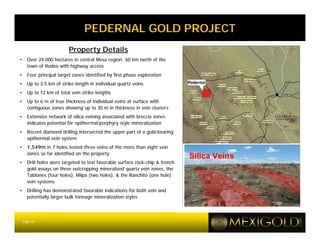 PEDERNAL GOLD PROJECT
                          Property Details
•     Over 24,000 hectares in central Mesa region; 60 km north of the
      town of Rodeo with highway access
•     Four principal target zones identified by first phase exploration
•     Up to 3.5 km of strike length in individual quartz veins
•     Up to 12 km of total vein strike lengths
•     Up to 6 m of true thickness of individual veins at surface with
      contiguous zones showing up to 30 m in thickness in vein clusters
•     Extensive network of silica veining associated with breccia zones
      indicates potential for epithermal/porphyry style mineralization
•     Recent diamond drilling intersected the upper part of a gold-bearing
      epithermal vein system
•     1,549m in 7 holes tested three veins of the more than eight vein
      zones so far identified on the property
                                                                               Silica Veins
•     Drill holes were targeted to test favorable surface rock-chip & trench
      gold assays on three outcropping mineralized quartz vein zones, the
      Tablones (four holes), Milpa (two holes), & the Ranchito (one hole)
      vein systems
•     Drilling has demonstrated favorable indications for both vein and
      potentially larger bulk tonnage mineralization styles



    Page 18
 