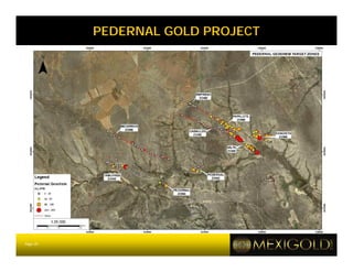 PEDERNAL GOLD PROJECT




Page 20
 