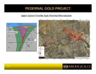 PEDERNAL GOLD PROJECT
          Upper System Fresnillo Style Potential Mineralization




     P                P’                                          P’




                                  P




Page 21
 