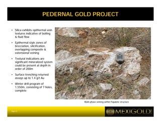 PEDERNAL GOLD PROJECT

• Silica exhibits epithermal vein
  textures indicative of boiling
  & fluid flow

• Epithermal style zones of
  brecciation, silicification,
  overlapping composite &
  extensional veining

• Textural indications are
  significant mineralized system
  could be present at depth in
  order of 200m

• Surface trenching returned
  assays up to 1.4 g/t Au

• Winter drill program of
  1,550m, consisting of 7 holes,
  complete


                                     Multi-phase veining within Papalote structure



Page 22
 