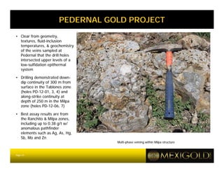 PEDERNAL GOLD PROJECT
• Clear from geometry,
  textures, fluid-inclusion
  temperatures, & geochemistry
  of the veins sampled at
  Pedernal that the drill holes
  intersected upper levels of a
  low-sulfidation epithermal
  system

• Drilling demonstrated down-
  dip continuity of 300 m from
  surface in the Tablones zone
  (holes PD-12-01, 3, 4) and
  along-strike continuity at
  depth of 250 m in the Milpa
  zone (holes PD-12-06, 7)

• Best assay results are from
  the Ranchito & Milpa zones,
  including up to 0.38 g/t w/
  anomalous pathfinder
  elements such as Ag, As, Hg,
  Sb, Mo and Zn
                                  Multi-phase veining within Milpa structure



Page 24
 