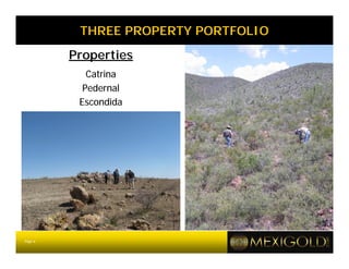 THREE PROPERTY PORTFOLIO
         Properties
            Catrina
           Pedernal
          Escondida




Page 6
 