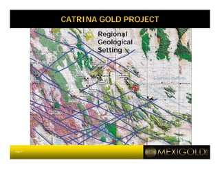 CATRINA GOLD PROJECT
                Regional
                Geological
                Setting




Page 9
 