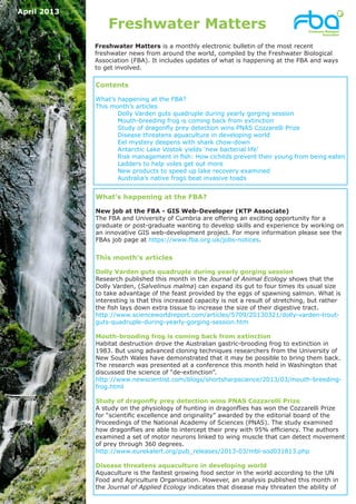 April 2013

                 Freshwater Matters
             Freshwater Matters is a monthly electronic bulletin of the most recent
             freshwater news from around the world, compiled by the Freshwater Biological
             Association (FBA). It includes updates of what is happening at the FBA and ways
             to get involved.

             Contents

             What’s happening at the FBA?
             This month’s articles
             	      Dolly Varden guts quadruple during yearly gorging session
             	      Mouth-breeding frog is coming back from extinction
             	      Study of dragonfly prey detection wins PNAS Cozzarelli Prize
             	      Disease threatens aquaculture in developing world
             	      Eel mystery deepens with shark chow-down
             	      Antarctic Lake Vostok yields ‘new bacterial life’
             	      Risk management in fish: How cichlids prevent their young from being eaten
             	      Ladders to help voles get out more
             	      New products to speed up lake recovery examined
             	      Australia’s native frogs beat invasive toads


             What’s happening at the FBA?

             New job at the FBA - GIS Web-Developer (KTP Associate)
             The FBA and University of Cumbria are offering an exciting opportunity for a
             graduate or post-graduate wanting to develop skills and experience by working on
             an innovative GIS web-development project. For more information please see the
             FBAs job page at https://www.fba.org.uk/jobs-notices.


             This month’s articles

             Dolly Varden guts quadruple during yearly gorging session
             Research published this month in the Journal of Animal Ecology shows that the
             Dolly Varden, (Salvelinus malma) can expand its gut to four times its usual size
             to take advantage of the feast provided by the eggs of spawning salmon. What is
             interesting is that this increased capacity is not a result of stretching, but rather
             the fish lays down extra tissue to increase the size of their digestive tract.
             http://www.scienceworldreport.com/articles/5709/20130321/dolly-varden-trout-
             guts-quadruple-during-yearly-gorging-session.htm

             Mouth-brooding frog is coming back from extinction
             Habitat destruction drove the Australian gastric-brooding frog to extinction in
             1983. But using advanced cloning techniques researchers from the University of
             New South Wales have demonstrated that it may be possible to bring them back.
             The research was presented at a conference this month held in Washington that
             discussed the science of “de-extinction”.
             http://www.newscientist.com/blogs/shortsharpscience/2013/03/mouth-breeding-
             frog.html

             Study of dragonfly prey detection wins PNAS Cozzarelli Prize
             A study on the physiology of hunting in dragonflies has won the Cozzarelli Prize
             for “scientific excellence and originality” awarded by the editorial board of the
             Proceedings of the National Academy of Sciences (PNAS). The study examined
             how dragonflies are able to intercept their prey with 95% efficiency. The authors
             examined a set of motor neurons linked to wing muscle that can detect movement
             of prey through 360 degrees.
             http://www.eurekalert.org/pub_releases/2013-03/mbl-sod031813.php

             Disease threatens aquaculture in developing world
             Aquaculture is the fastest growing food sector in the world according to the UN
             Food and Agriculture Organisation. However, an analysis published this month in
             the Journal of Applied Ecology indicates that disease may threaten the ability of
 