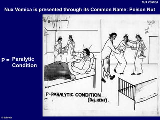 P = Paralytic
Condition
NUX VOMICA
Nux Vomica is presented through its Common Name: Poison Nut
© Subrata
 