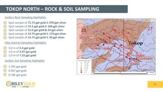 TOKOP – LOCALIZED MAIN TOKOP SAMPLING
10
Surface Rock Sampling Highlights:
• Spot sample of 71.73 gpt gold & 970 gpt silver
• Spot sample of 19.3 gpt gold & 104 gpt silver
• Spot sample of 15.0 gpt gold & 24 gpt silver
• Spot sample of 14.75 gpt gold & 179 gpt silver
• Spot sample of 13.73 gpt gold & 30 gpt silver
Chip channel Sampling Highlights:
• 5.0 m of 5.4 gpt gold
• 3.0 m of 5.97 gpt gold
• 1.0 m of 7.32 gpt gold
Surface Soil Sampling Highlights:
• 1.395 gpt gold
• 0.967 gpt gold
• 0.786 gpt gold
TOKOP NORTH – ROCK & SOIL SAMPLING
 