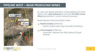 PIPELINE WEST – NEAR PRODUCING MINES
18
On strike with Nevada Gold Mines JV (Barrick/Newmont) Cortez
District, with a gold endowment of more than 50 million ounces
(Moz) (past production + current reserves & resources).
Nearby deposits in the Cortez District include:
Pipeline Complex (23 Moz Au):
• Pipeline, Pipeline South, Gap, Crossroads, & Gold Acres
Cortez Complex (27 Moz Au):
• Cortez Hills - Pediment, Four Mile, Goldrush, & South
Goldrush
Sources: Diversity in Carlin-Style Gold Deposits by John L Muntean
 