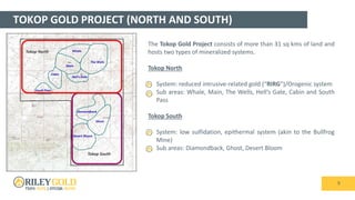 TOKOP GOLD PROJECT (NORTH AND SOUTH)
9
The Tokop Gold Project consists of more than 31 sq kms of land and
hosts two types of mineralized systems.
Tokop North
• System: reduced intrusive-related gold (“RIRG”)/Orogenic system
• Sub areas: Whale, Main, The Wells, Hell’s Gate, Cabin and South
Pass
Tokop South
• System: low sulfidation, epithermal system (akin to the Bullfrog
Mine)
• Sub areas: Diamondback, Ghost, Desert Bloom
 