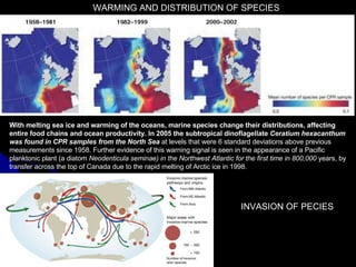 WARMING AND DISTRIBUTION OF SPECIES With melting sea ice and warming of the oceans, marine species change their distributions, affecting entire food chains and ocean productivity. In 2005 the subtropical dinoflagellate  Ceratium hexacanthum was found in CPR samples from the North Sea  at levels that were 6 standard deviations above previous measurements since 1958. Further evidence of this warning signal is seen in the appearance of a Pacific planktonic plant (a diatom  Neodenticula seminae) in the Northwest Atlantic for the first time in 800,000  years, by transfer across the top of Canada due to the rapid melting of Arctic ice in 1998. INVASION OF PECIES 