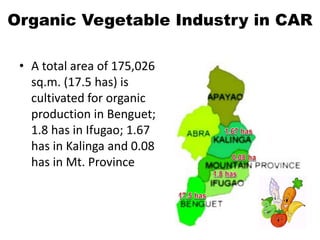 Organic Vegetable Industry in CAR
• A total area of 175,026
sq.m. (17.5 has) is
cultivated for organic
production in Benguet;
1.8 has in Ifugao; 1.67
has in Kalinga and 0.08
has in Mt. Province
 