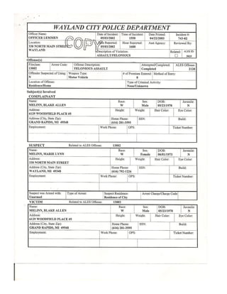 April 22 2003 police report charging maria bauer melinn with dv
