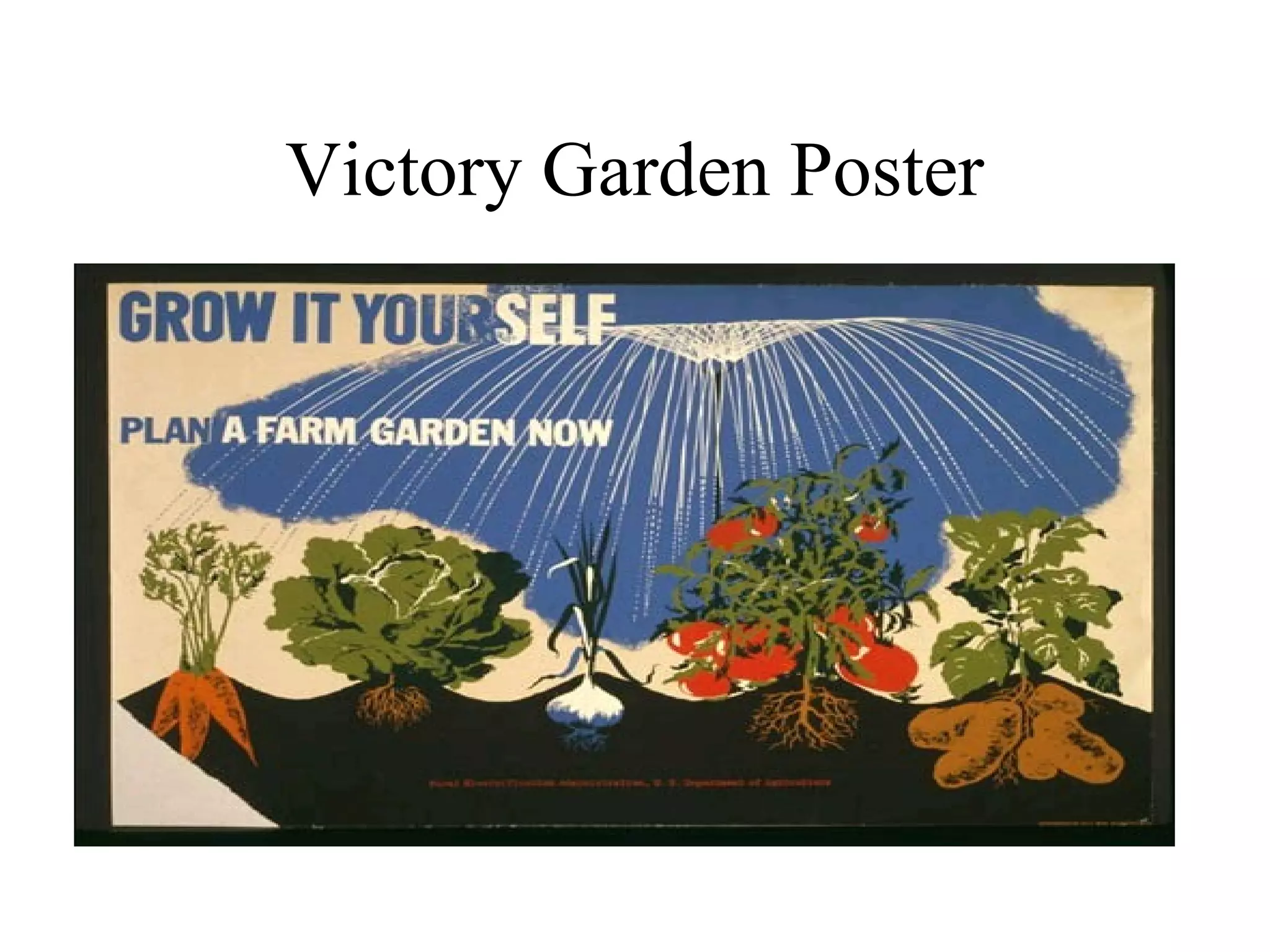 Victory Garden Poster
 