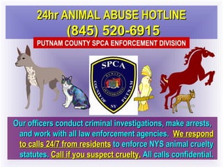 24hr ANIMAL ABUSE HOTLINE24hr ANIMAL ABUSE HOTLINE
(845) 520-6915(845) 520-6915
Our officers conduct criminal investigations, make arrests,Our officers conduct criminal investigations, make arrests,
and work with all law enforcement agencies.and work with all law enforcement agencies. We respondWe respond
to calls 24/7 from residentsto calls 24/7 from residents to enforce NYS animal crueltyto enforce NYS animal cruelty
statutes.statutes. Call if you suspect cruelty.Call if you suspect cruelty. All calls confidential.All calls confidential.
PUTNAM COUNTY SPCA ENFORCEMENT DIVISION
 