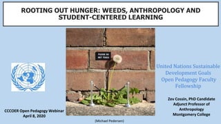 ROOTING OUT HUNGER: WEEDS, ANTHROPOLOGY AND
STUDENT-CENTERED LEARNING
CCCOER Open Pedagogy Webinar
April 8, 2020
United Nations Sustainable
Development Goals
Open Pedagogy Faculty
Fellowship
Zev Cossin, PhD Candidate
Adjunct Professor of
Anthropology
Montgomery College
(Michael Pedersen)
 
