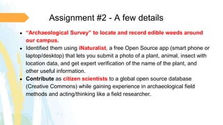 Assignment #2 - A few details
● “Archaeological Survey” to locate and record edible weeds around
our campus.
● Identified them using iNaturalist, a free Open Source app (smart phone or
laptop/desktop) that lets you submit a photo of a plant, animal, insect with
location data, and get expert verification of the name of the plant, and
other useful information.
● Contribute as citizen scientists to a global open source database
(Creative Commons) while gaining experience in archaeological field
methods and acting/thinking like a field researcher.
 
