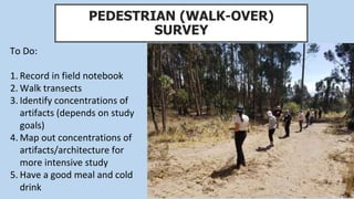 PEDESTRIAN (WALK-OVER)
SURVEY
To Do:
1. Record in field notebook
2. Walk transects
3. Identify concentrations of
artifacts (depends on study
goals)
4. Map out concentrations of
artifacts/architecture for
more intensive study
5. Have a good meal and cold
drink
 