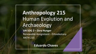 Anthropology 215
Human Evolution and
Archaeology
UN SDG 2 – Zero Hunger
Renewable Assignment - Ethnobotany
ANTH 215
Eduardo Chaves
 
