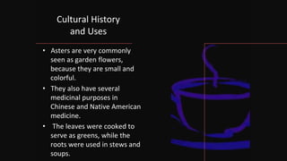 Cultural History
and Uses
• Asters are very commonly
seen as garden flowers,
because they are small and
colorful.
• They also have several
medicinal purposes in
Chinese and Native American
medicine.
• The leaves were cooked to
serve as greens, while the
roots were used in stews and
soups.
 