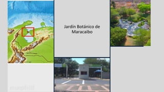 Jardín Botánico de
Maracaibo
 