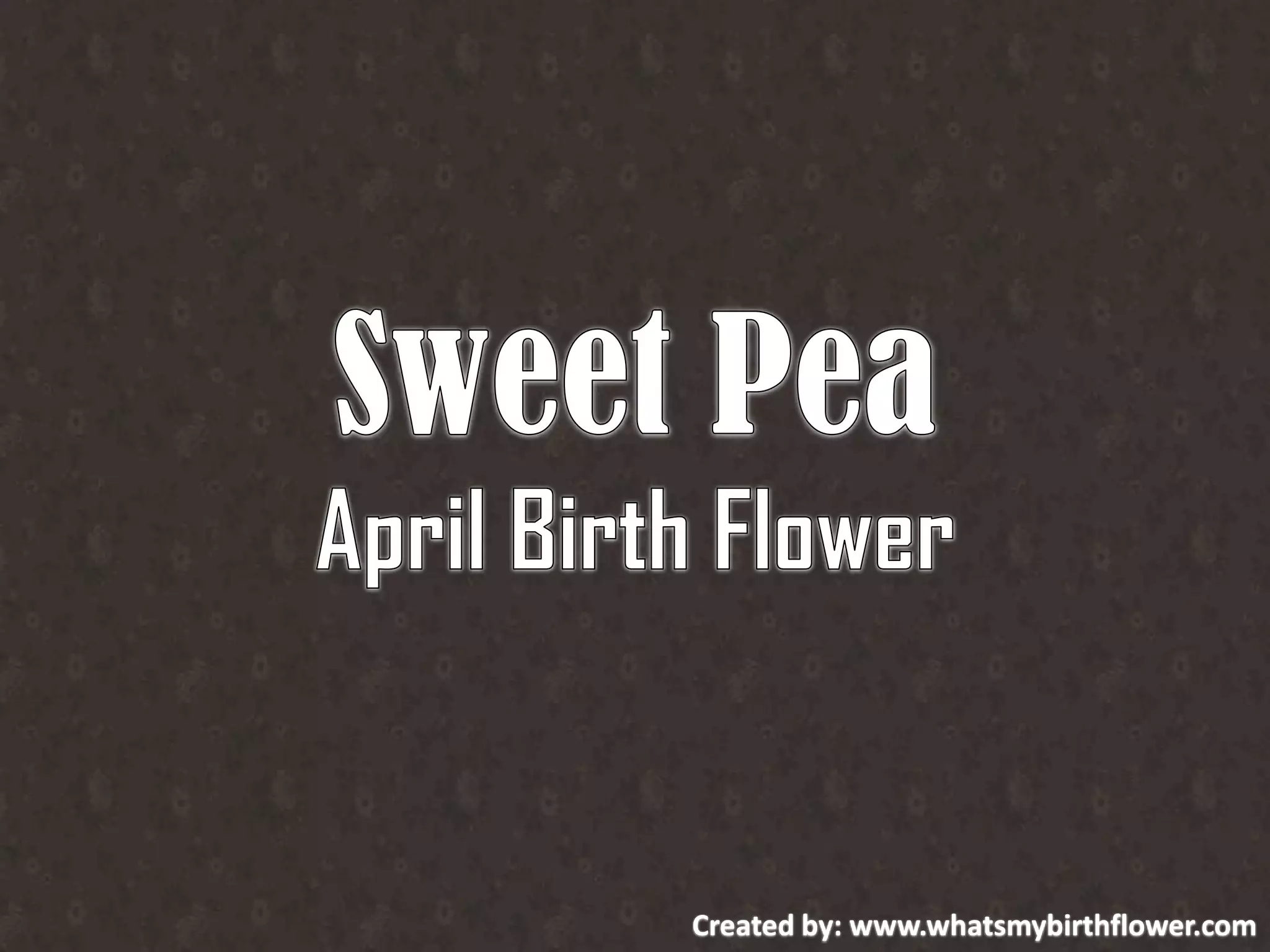 April birth flower | PPT