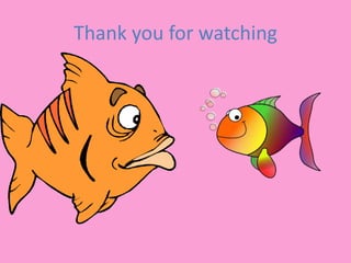 Thank you for watching 