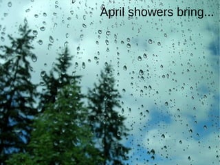 April showers bring...
 
