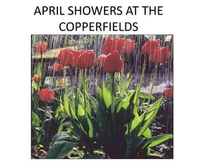 APRIL SHOWERS AT THE
COPPERFIELDS
 