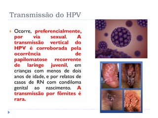 Transmissão do HPV
 Ocorre, preferencialmente,
por via sexual. A
transmissão vertical do
HPV é corroborada pela
ocorrência de
papilomatose recorrente
de laringe juvenil, em
crianças com menos de dois
anos de idade, e por relatos de
casos de RN com condiloma
genital ao nascimento. A
transmissão por fômites é
rara.
 