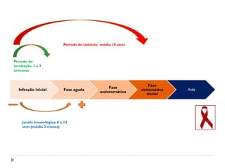 Infecção inicial Fase aguda
Fase
assintomática
Fase
sintomática
inicial
Aids
Período de
incubação.1 a 3
semanas
Período de latência: média 10 anos
Janela imunológica:6 a 12
sem (média 2 meses)
 