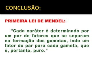 PRIMEIRA LEI DE MENDEL:
“Cada caráter é determinado por
um par de fatores que se separam
na formação dos gametas, indo um
fator do par para cada gameta, que
é, portanto, puro.”