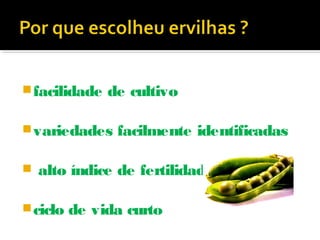 facilidade de cultivo
variedades facilmente identificadas
alto índice de fertilidade
ciclo de vida curto