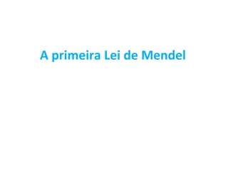 A primeira Lei de Mendel
 