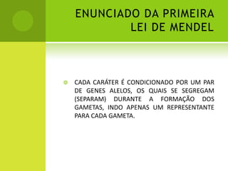 ENUNCIADO DA PRIMEIRA
            LEI DE MENDEL



   CADA CARÁTER É CONDICIONADO POR UM PAR
    DE GENES ALELOS, OS QUAIS SE SEGREGAM
    (SEPARAM) DURANTE A FORMAÇÃO DOS
    GAMETAS, INDO APENAS UM REPRESENTANTE
    PARA CADA GAMETA.
 